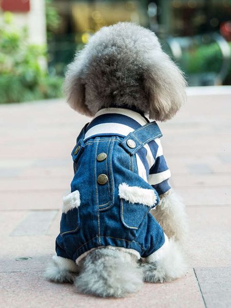 

pet suspenders four legged teddy dog cute autumn and winter cloth