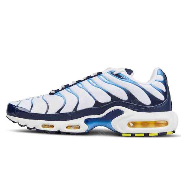 blue hex tns