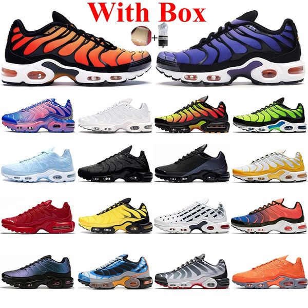 

with box plus tn running shoes for men women triple black white hyper blue before the bite chaussures breathable mens trainers sport sneaker