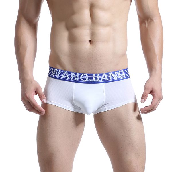 

3Pieces/Lot Mens Thin Boxers Shorts Underwear U Pouch Nylon Men Boxer Solid Soft Underpants Cueca Boxer Comfortable Male Underwear, Black