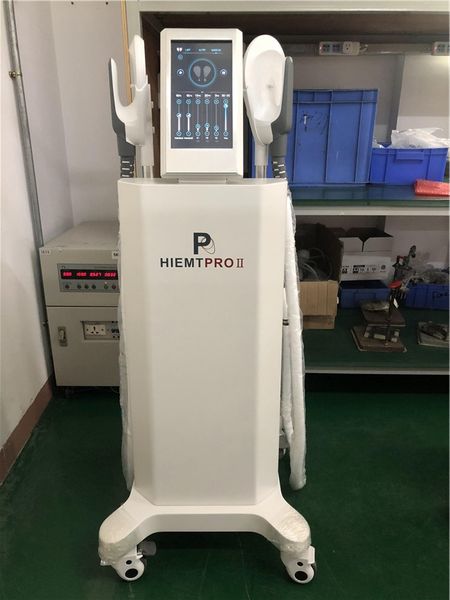 

2021 vertical non-invasive high intensity electromagnetic ems muscle stimulator fat reduce weight loss and body slimming muscle, Black;white
