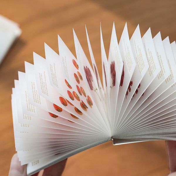 

galaxy fruits ocean memo pad kawaii канцтовары kawaii цветок n раз липкие заметки портативный блокнот школьная школа офис питание papeleria