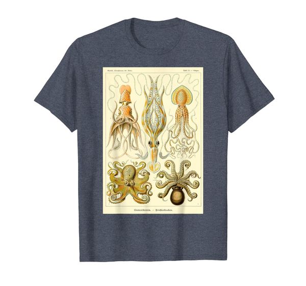 

science illustration cephalopod squid ocs marine biology, White;black