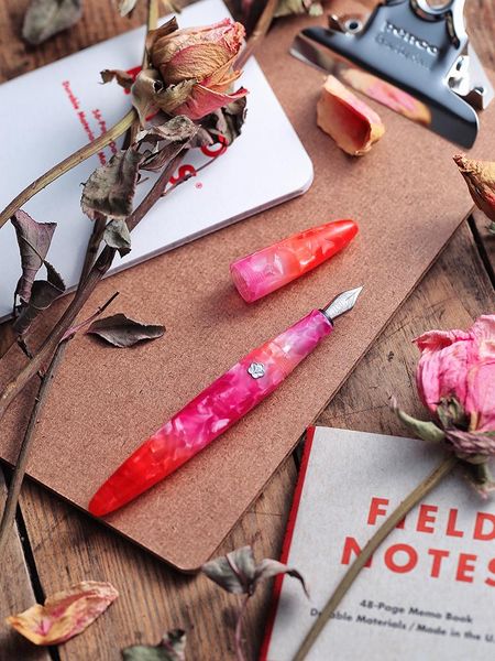 

fountain pens resin pen with germany schmidt nib gift box suit student