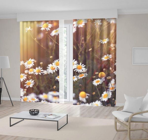 

curtain & drapes daisy wild chamomile shining sun flowers summer backyard countryside nature po white green