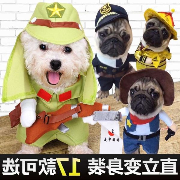 

cat and dog funny pet upright disguise cat clothes english short cute summer