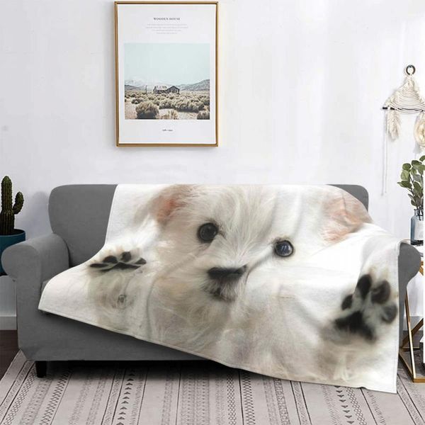 

blankets puppies carpet living room flocking textile a bed blanket covers luxury flannel