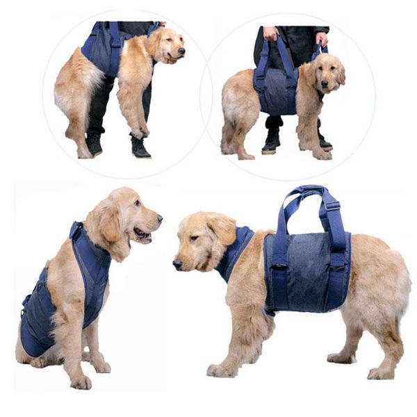 

dog collars & leashes elderly safety walking auxiliary belt rehabilitation vest pet strap collar leash assist exercise harness