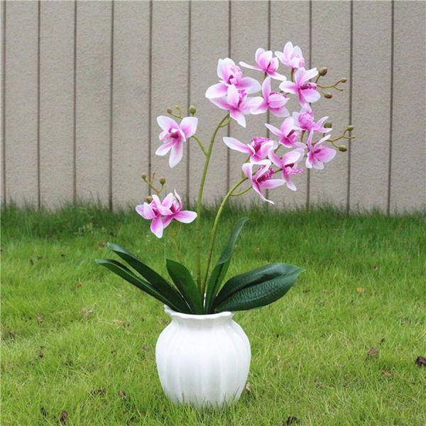 

offices artificial flower orchid outdoor parties plant plants restaurants