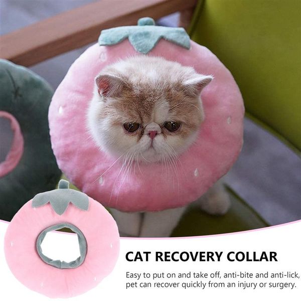 

cat collars & leads recovery collar soft neck cone elizabethan