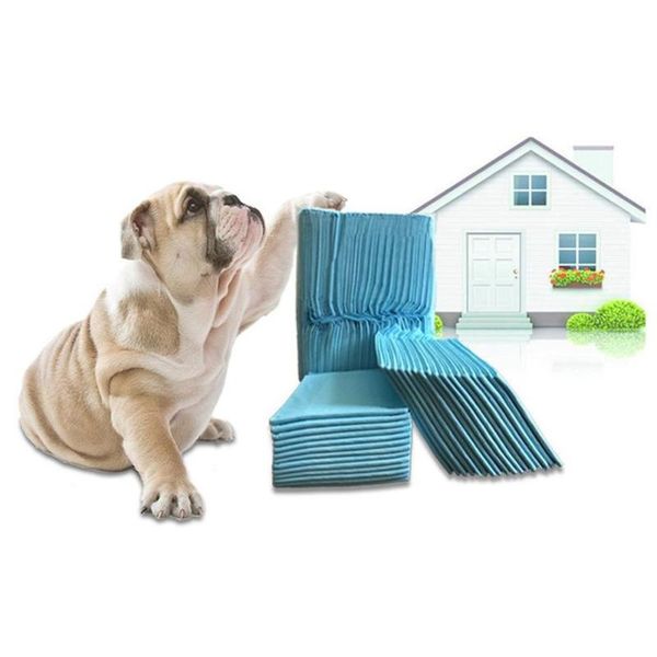 

dog apparel 2021 and puppy training mats pet diapers deodorant absorbent disposable cats dogs supplies