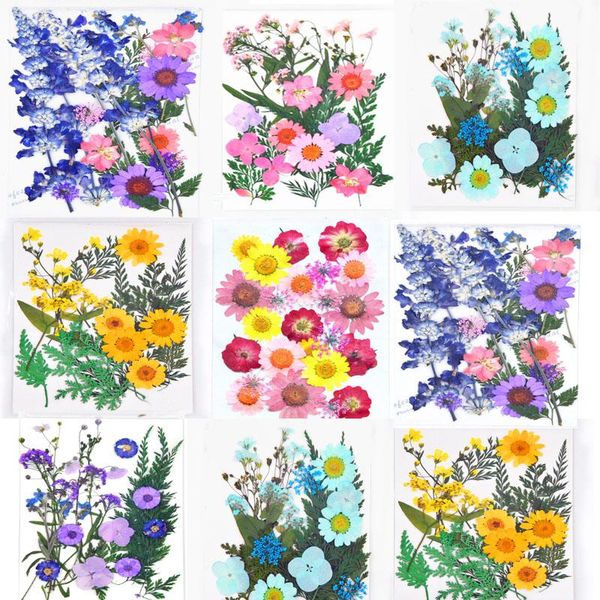 

decorative flowers & wreaths 22pcs real pressed dried embellishments diy candle crafts card making leaves flower jewelry