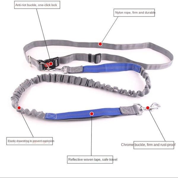

dog collars & leashes pet leash traction rope running belt reflective elastic hands y jogging collar harness