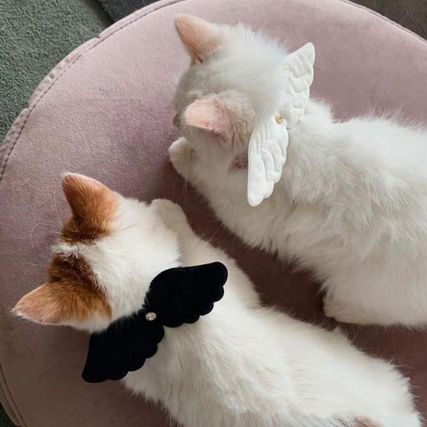 

cat costumes cute little angel wings small dog pet collar necklace traction