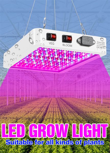 LED de espectro completo Phyto Grow Lamp 85-265V Planta FITO LUZ 1000W 2000W Hidroponia Bulbo Interior Caixa de cultivo Caixa veg de lâmpadas de sementes