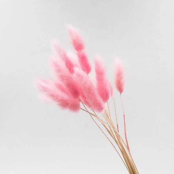 

decorative flowers & wreaths real for home decoration arrangement tail grass lagurus ovatus flower