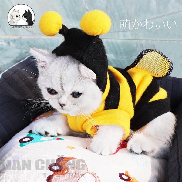 

cat costumes pet clothes funny soft bee coat four seasons fleece clothing for small cats kitten hoodie puppy dog