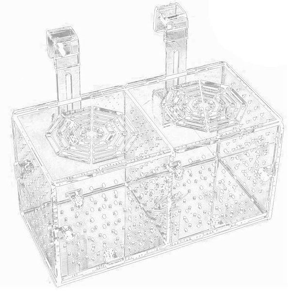 

aquariums aquarium breeding isolation box acrylic fish tank acclimation hatchery incubator holder divider for fishes shrimp
