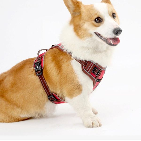 

pet supplies reflective movement vest type leash outdoor chest straps nylon aluminum alloy ventilate traction rope dog collar