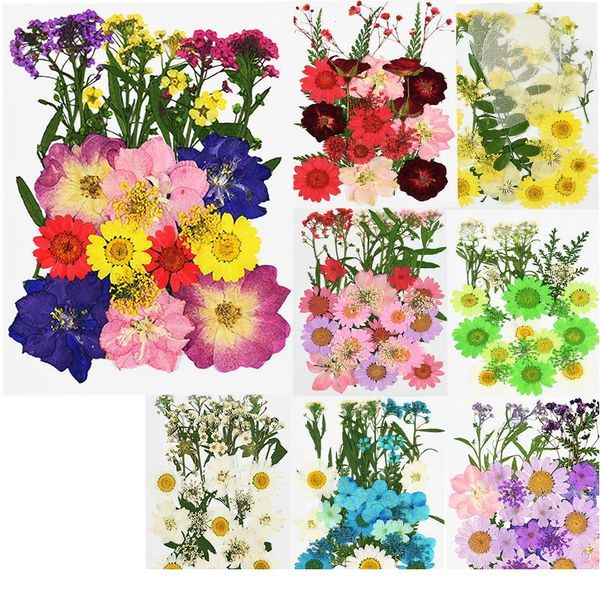 

small dried flowers pressed flower diy scrapbooking preserved flower for home wedding party decoration mini bloemen flor jllhro