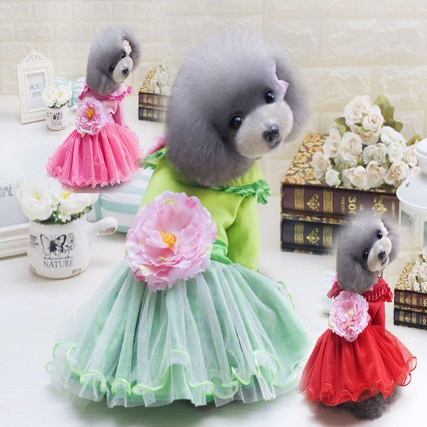 

2019 new autumn and winter cashmere peony skirt pet cloth