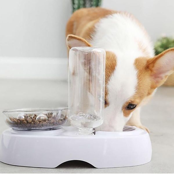 

cat bowls & feeders pet bowl automatic feeder dog food with water dispenser double drinking dish for tableware#g3