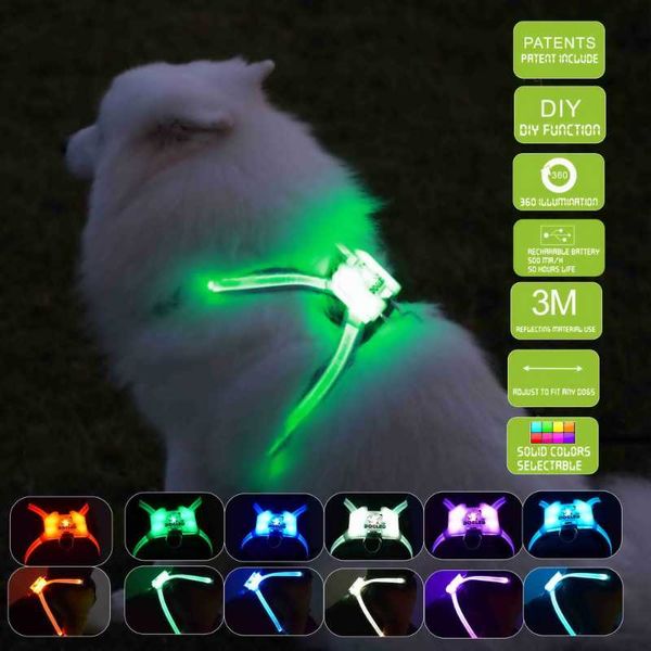 

dog collars & leashes collar led pendant cc simon rechargable harness 2021