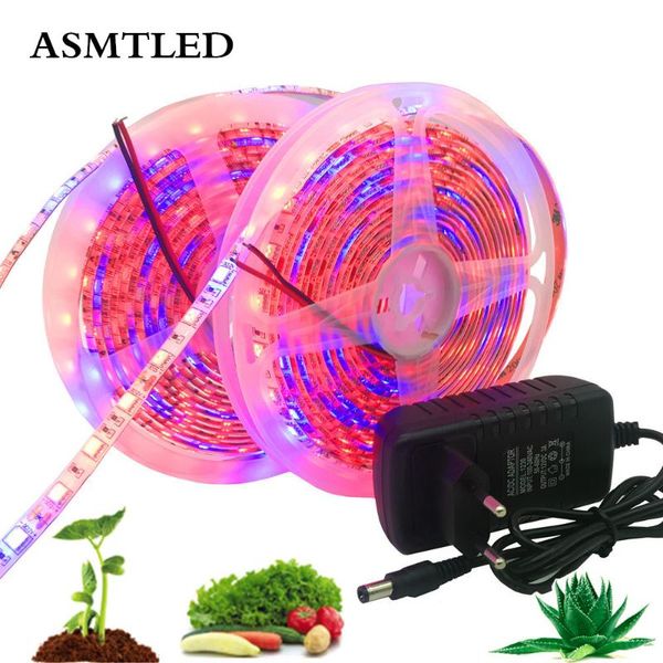 

strips 1-10m plant grow lights smd full spectrum dimmable led strip flower phyto lamp+power adapter red blue 3:1 4:1 5:1 set