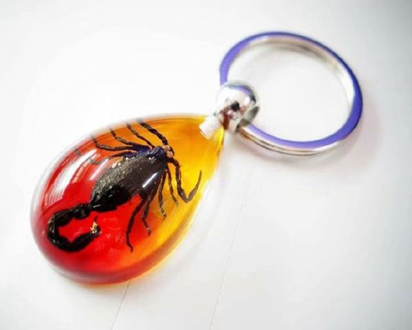 

yqtdmy 10 pcs personalized black scorpion king insect charming keychain, Slivery;golden