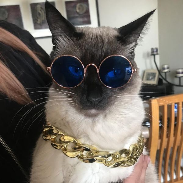 

cat costumes pet sunglasses fashion anti-uv dog accessories glasses for little toy puppy products pets year 2021 gifts