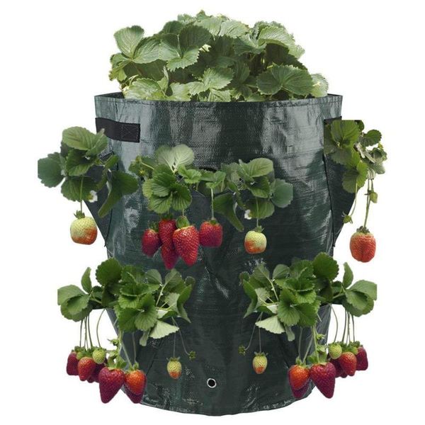 

planters & pots 5pcs potato strawberry planter bags for growing potatoes garden hanging open style vegetable planting grow bag 10 gallons