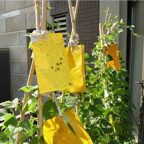 

mats & pads 5pcs strong flies traps bugs sticky board catching aphid insects killer pest control whitefly thrip glue sticker