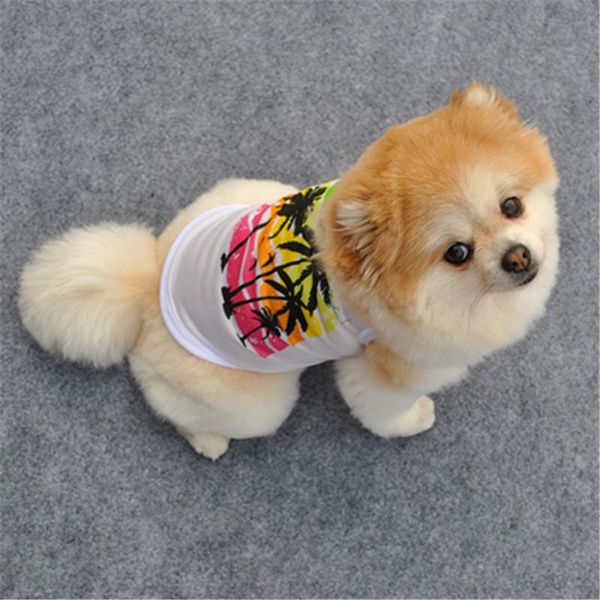 

dog apparel clothes spring and summerstyles pet dogs clothing breathable fashion cute coconut t-shirt bichon small