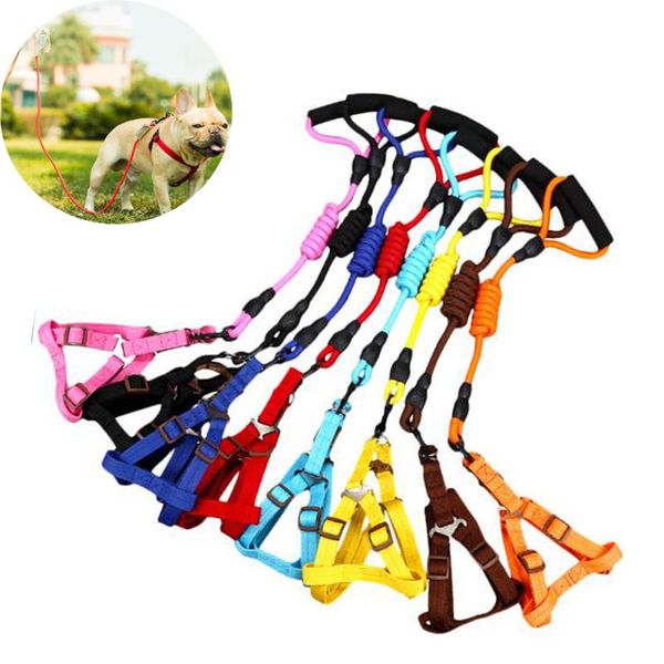

dog collars & leashes leash running walk train for large small cat pets dogs harness collar jogging lead and adjustable waist rope