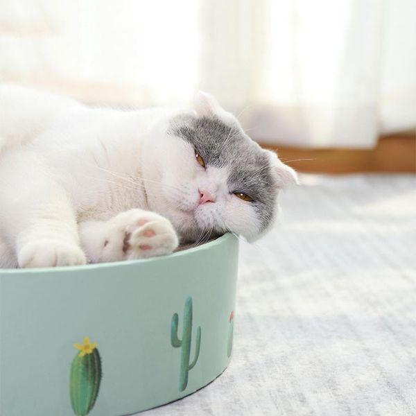 

corrugated paper cardboard cat catnip scratcher board nail scraper mat kitten lounge cats scratching pad rest bed toy