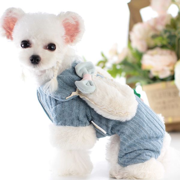 

pet cloth 21 autumn and winter pet cat than bear carrot rabbit four legged dog