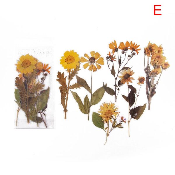 

gift wrap 1 set pet flowers decor stickers scrapbooking diy stationery nds