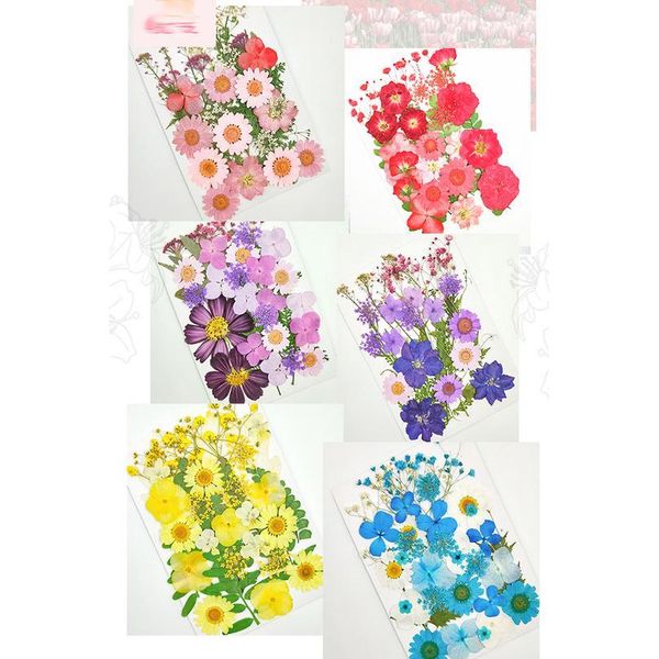 

pipifren pressed flowers small dried flowers scrapbooking dry diy preserved flower decoration home mini bloemen flor jllerq
