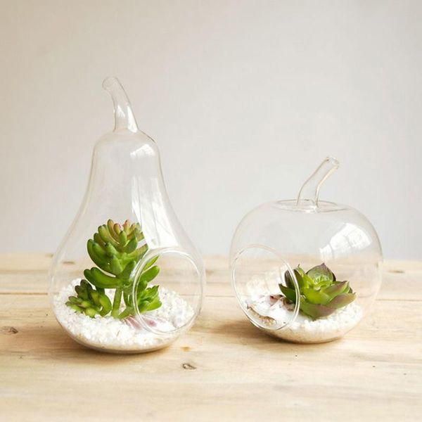 

vases 1pcs keyama creative apple pear shape deskglass flower vase succulent plant hydroponic tablehome decoration