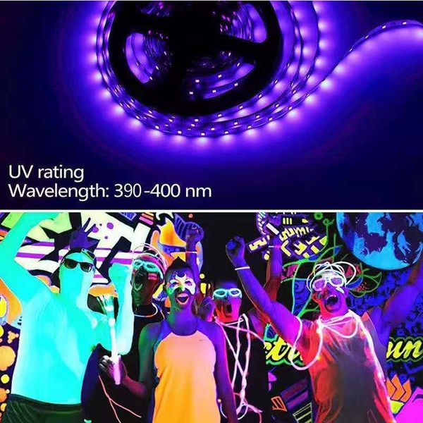 

strips dc12v sdm 395-405nm uv 2835 led stip 60led/m 120led/m test paper money and disinfection bar stage fluorescent party 5m 10m 15m