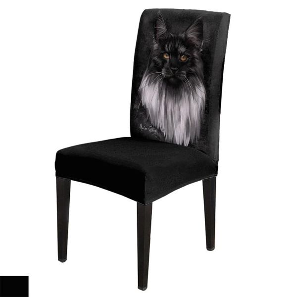 

chair covers maine black cat cover for dining room chairs high back living sets home kitchen