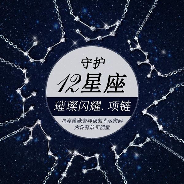 

pendant necklaces 925 silver necklace women's set chinese short choker wholesale d900 twelve constellations capricorn taurus aquarius s