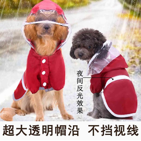 

cuhk raincoat walk dog at night