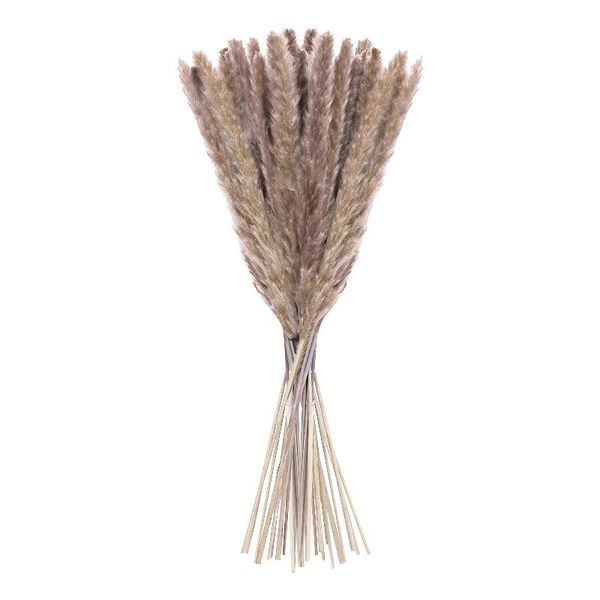 

natural dried reed grass diy home wedding decoration 15pcs decorative flowers & wreaths