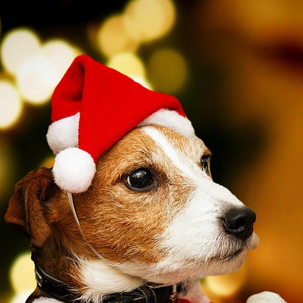 

dog apparel 1pcs christmas pet hat santa claus small puppy cat holiday costume loaded with cute jewelry high quality