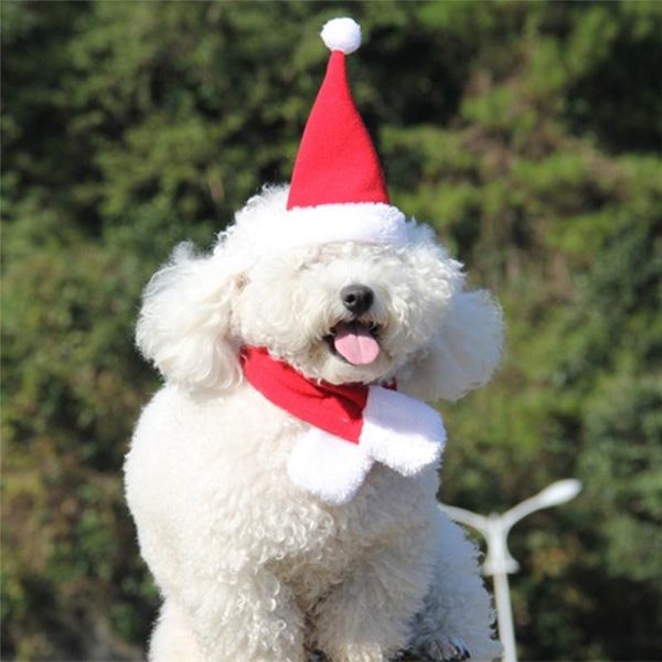 

dog apparel cat caps pet santa hat birthday scarf and collar bow tie christmas costume for puppy kitten small cats dogs pets accessories