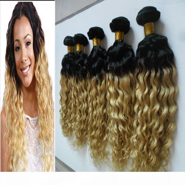 

t1b 613 ombre weave hair blonde 5 bundles of virgin brazilian hair 500g kinky virgin hair 5 pcs, Black