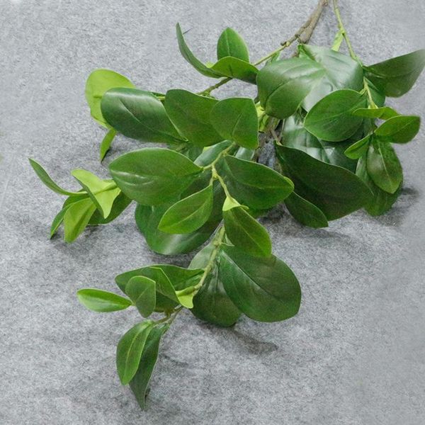 

model watercress leaves 5 fork watercress leaf model plant green vegetation green vegetation plant decoration