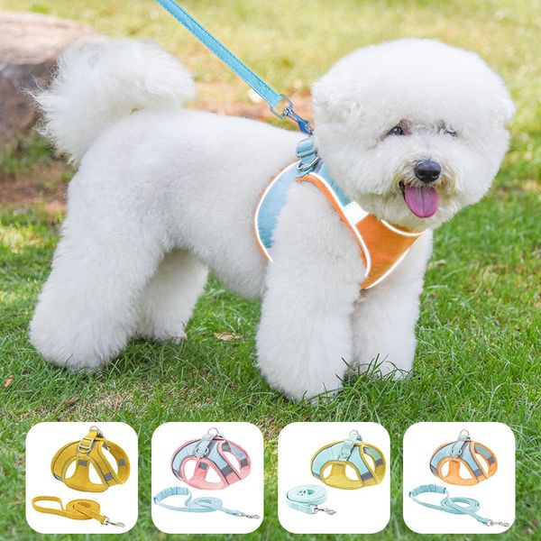 Pet Caip Arnês Colete-Estilo Cão Lemas Refletindo Cães Anti-Cat Cat Leash Tamanho Grande