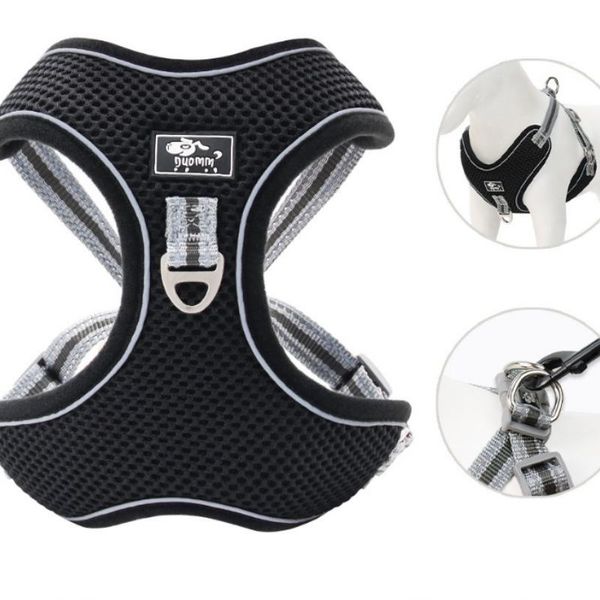 

dog collars & leashes style pet chest harness, leash, supplies